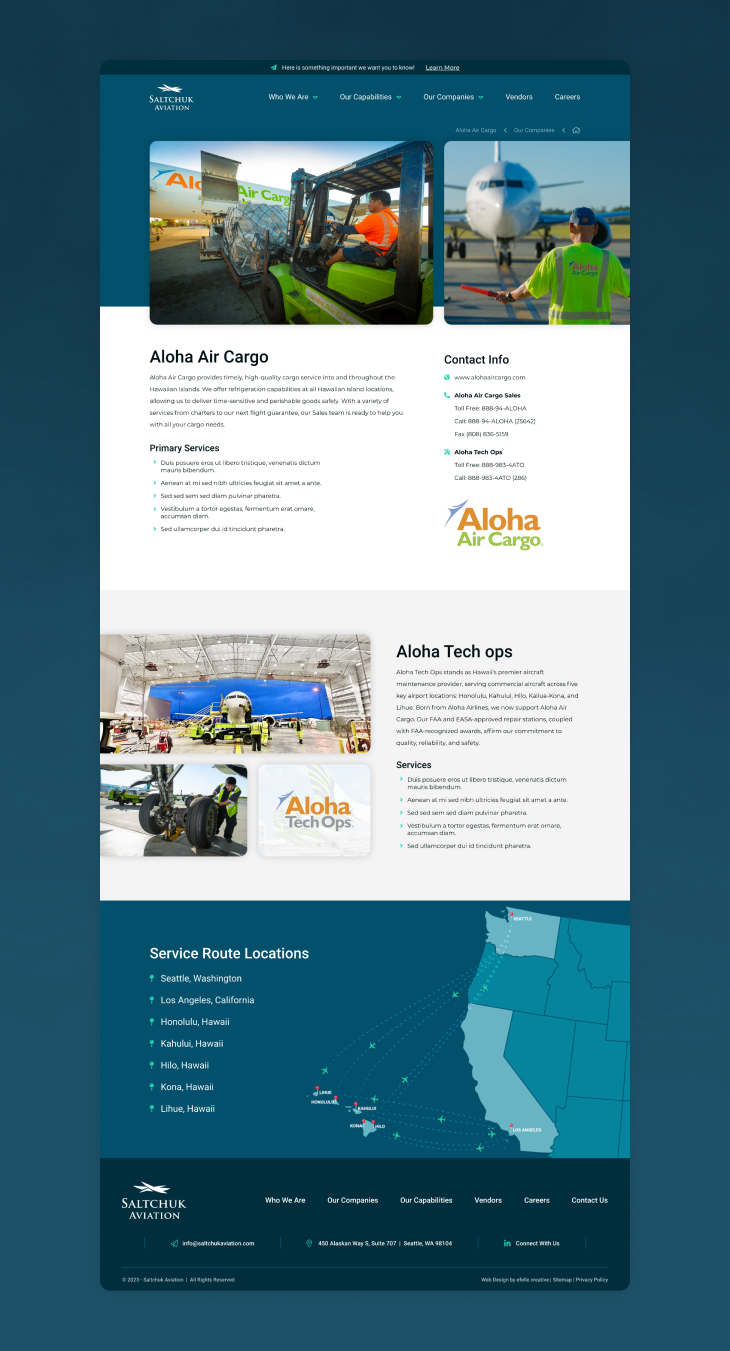 professional_service_fusioncms_website_design_for_saltchuk_aviation_company_blog-asset-services-details.jpg